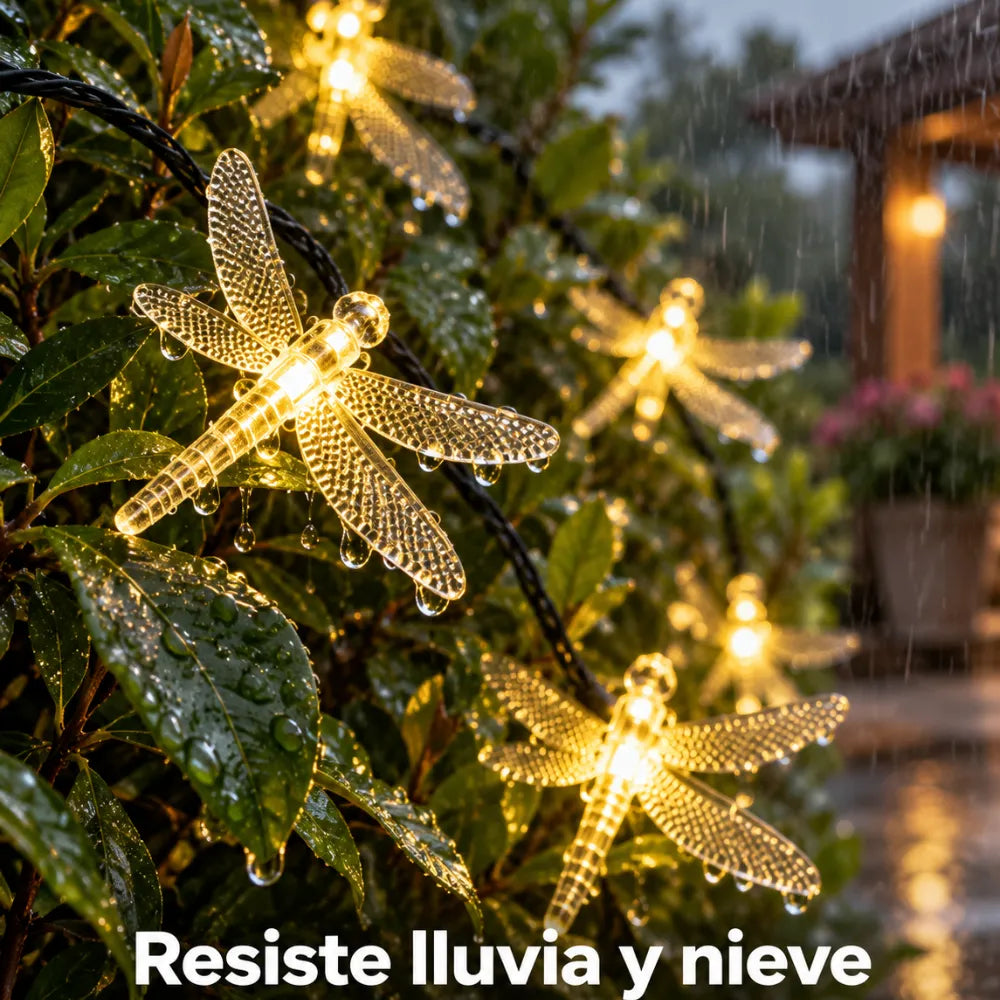 Instalacion Guirnalda De Libelulas Solar