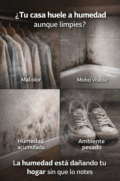 kit Anti humedad X2
